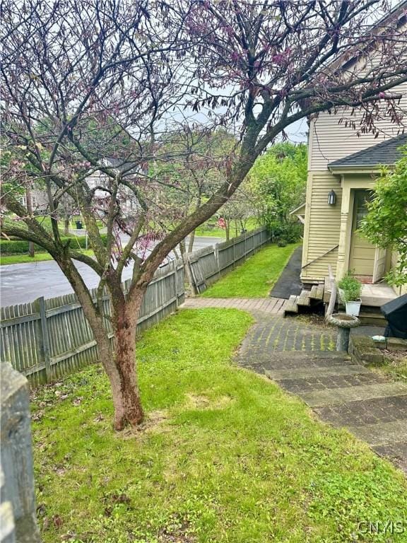 923 Teall Ave, Syracuse, NY 13206 - view of yard
