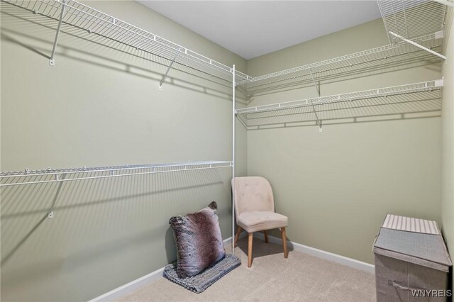 358 Rachel Vincent, Buffalo, NY 14216 - photo 30