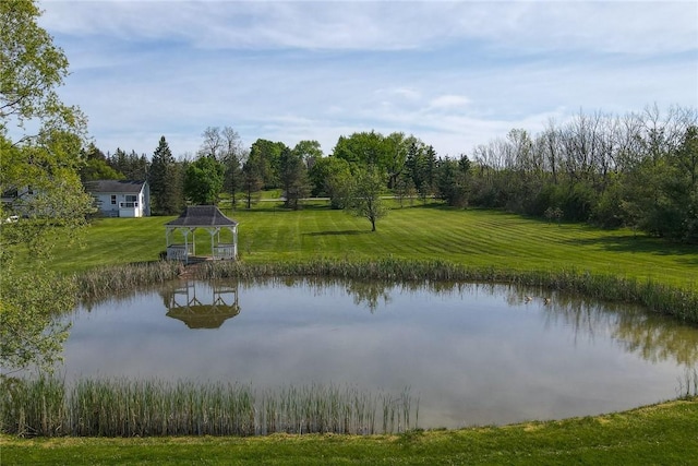 6514 State Route 5 And 20, East Bloomfield, NY 14469 - photo 42