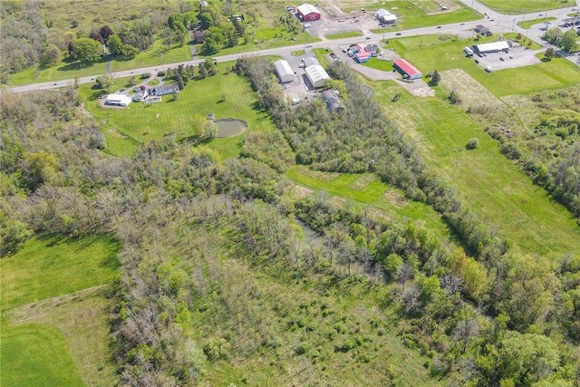 6514 State Route 5 And 20, East Bloomfield, NY 14469 - photo 43