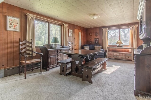 37931 State Route 12e, Clayton, NY 13624 - office space with light carpet and wooden walls
