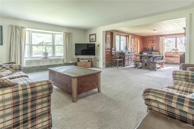 37931 State Route 12e, Clayton, NY 13624 - carpeted living area featuring plenty of natural light