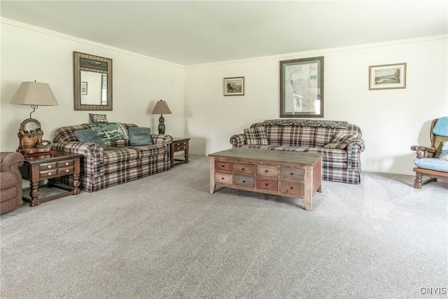 37931 State Route 12e, Clayton, NY 13624 - living area with carpet floors and ornamental molding
