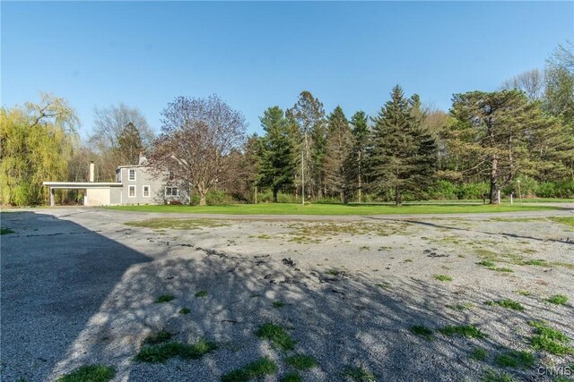 37931 State Route 12e, Clayton, NY 13624 - view of yard featuring driveway and a forest view
