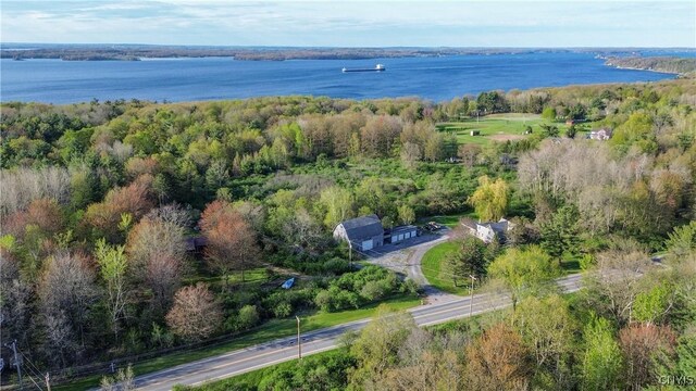 37931 State Route 12e, Clayton, NY 13624 - aerial view of a nearby body of water and a heavily wooded area