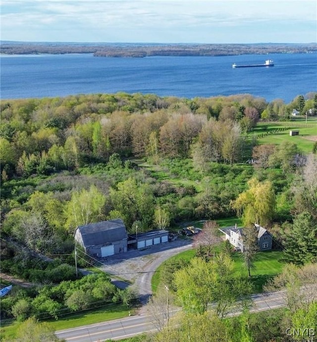 37931 State Route 12e, Clayton, NY 13624 - bird's eye view of a nearby body of water