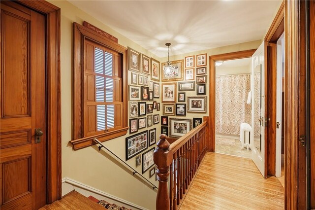 113 Franklin St, Arcadia, NY 14513 - photo 43