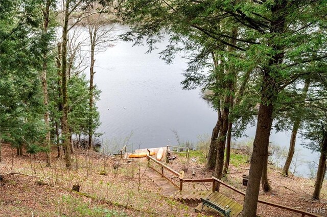 9039 Woods Rd, Remsen, NY 13438 - photo 2