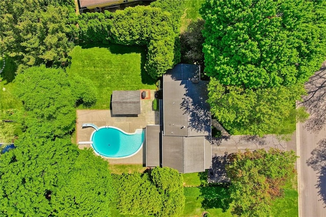 bird's eye view of a pool