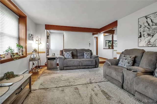 living area with wood finished floors