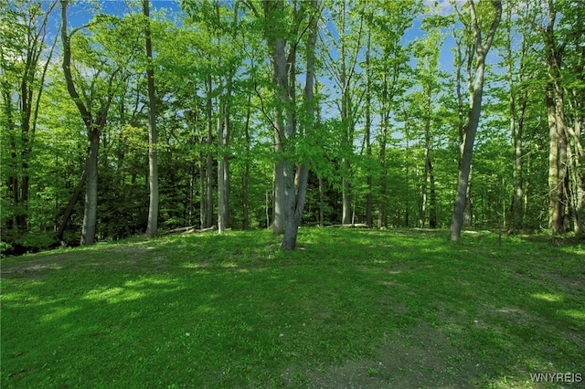 view of green lawn