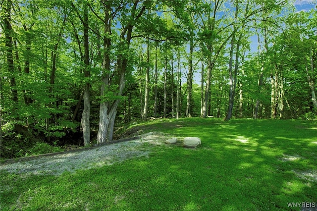 view of green lawn