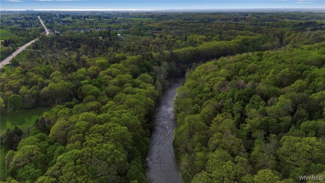 aerial overview of property's location with a heavily wooded area