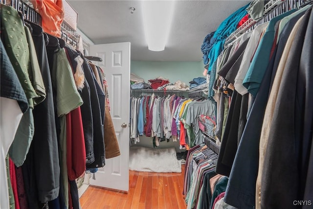 walk in closet featuring wood finished floors