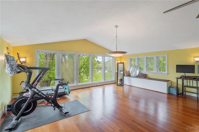 exercise area featuring lofted ceiling, healthy amount of natural light, and wood finished floors