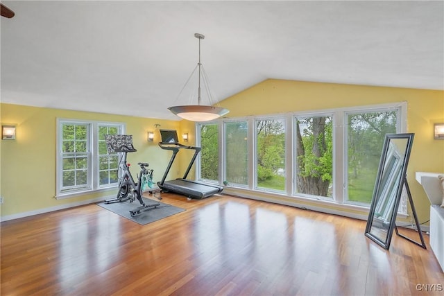 workout area featuring vaulted ceiling and wood finished floors