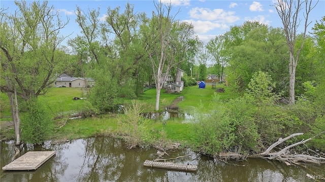 view of community with a water view and a dock