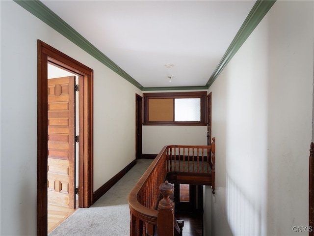 223 Keyes Ave, Watertown-City, NY 13601 - photo 20