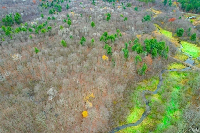345 Orton Rd, Sandy Creek, NY 13142 - aerial view of property's location