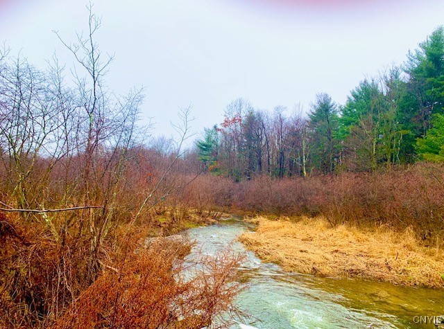 345 Orton Rd, Sandy Creek, NY 13142 - water view
