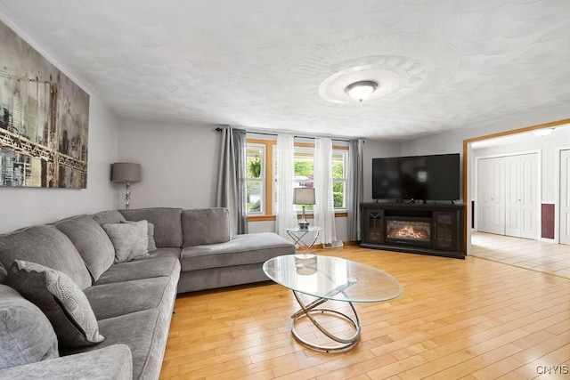 108 Pineledge Rd, Camillus, NY 13031 - living room with wood finished floors and a glass covered fireplace
