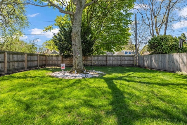 view of yard