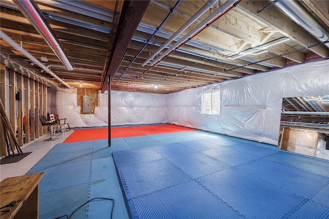 basement with electric panel