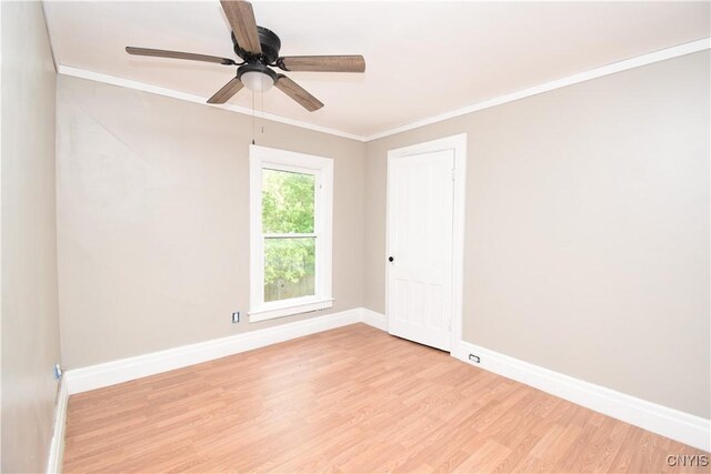 713 Myrtle Ave, Watertown-City, NY 13601 - photo 33