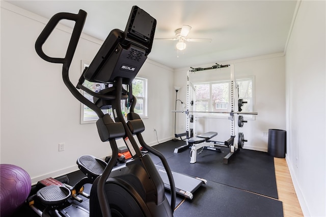 137 Vine St, Batavia-City, NY 14020 - exercise room featuring ceiling fan, ornamental molding, and baseboards