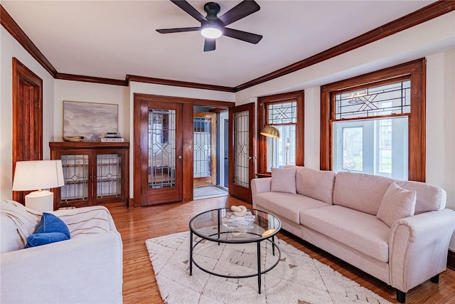 living room with light wood-type flooring, a ceiling fan, and crown molding