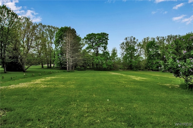 9466 Ridge Rd, Hartland, NY 14105 - view of grassy yard
