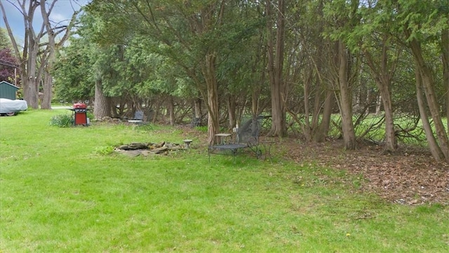 view of grassy yard