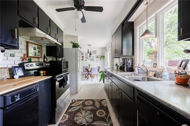 kitchen with appliances with stainless steel finishes, dark cabinets, under cabinet range hood, a sink, and light countertops