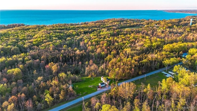 1934 E Middle Rd, Sheridan, NY 14136 - bird's eye view of a nearby body of water and a forest