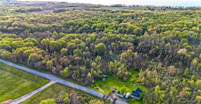 1934 E Middle Rd, Sheridan, NY 14136 - aerial view of property's location featuring a heavily wooded area