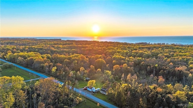1934 E Middle Rd, Sheridan, NY 14136 - aerial view at dusk of a water view