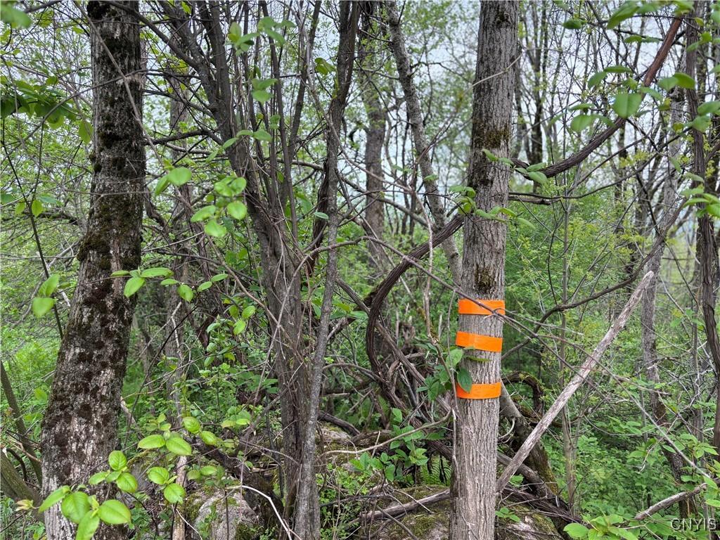 Sulphur Springs Rd, Norway, NY 13416 - photo 1