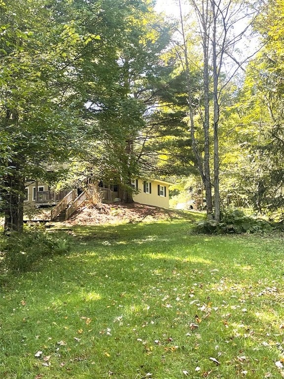 920 New Kingston Rd, Middletown, NY 12455 - view of green lawn