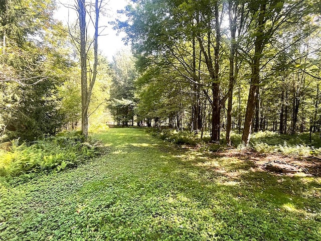 920 New Kingston Rd, Middletown, NY 12455 - view of grassy yard