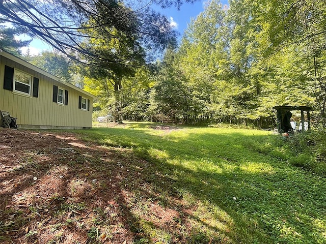 920 New Kingston Rd, Middletown, NY 12455 - view of green lawn