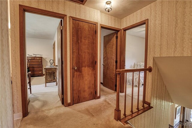 1604 Stardust Ln, Olean-City, NY 14760 - corridor with light carpet