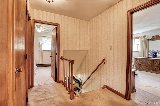 1604 Stardust Ln, Olean-City, NY 14760 - stairs featuring carpet