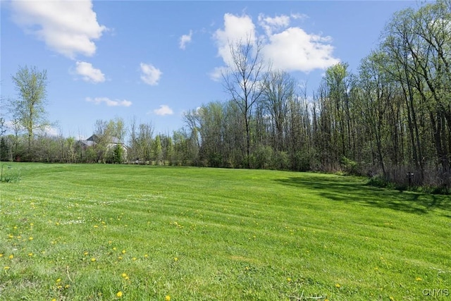 3543 Lost Hollow Rd, Skaneateles, NY 13152 - view of green lawn