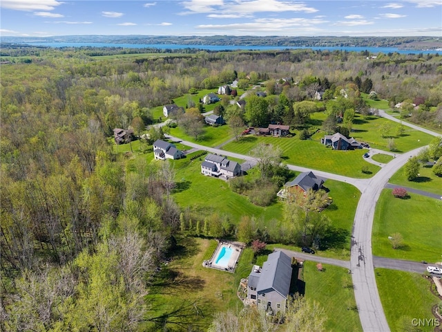 3543 Lost Hollow Rd, Skaneateles, NY 13152 - drone / aerial view of a forest