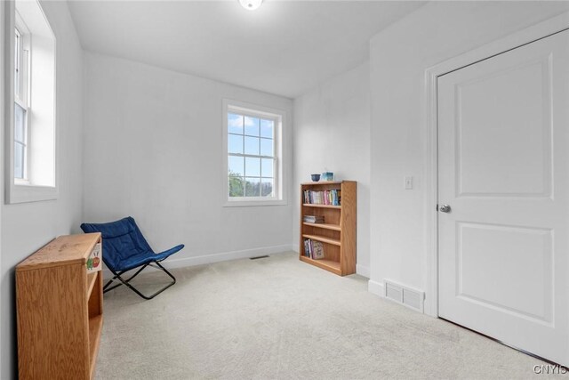 3543 Lost Hollow Rd, Skaneateles, NY 13152 - unfurnished room featuring plenty of natural light, carpet floors, and baseboards