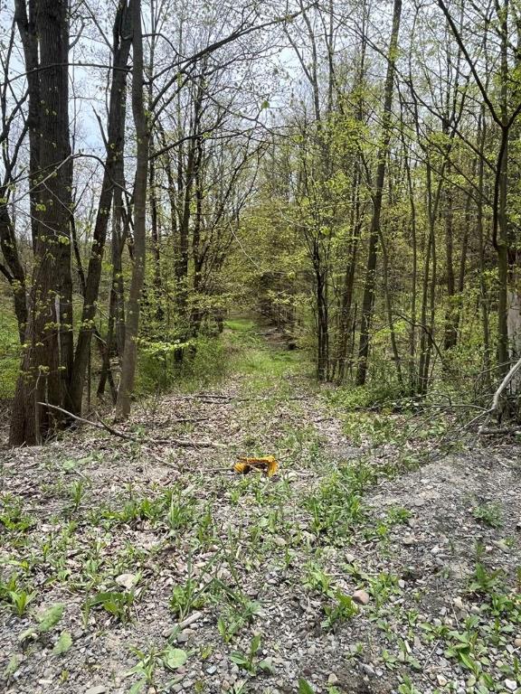 0 Hornby Rd, Orange, NY 14812