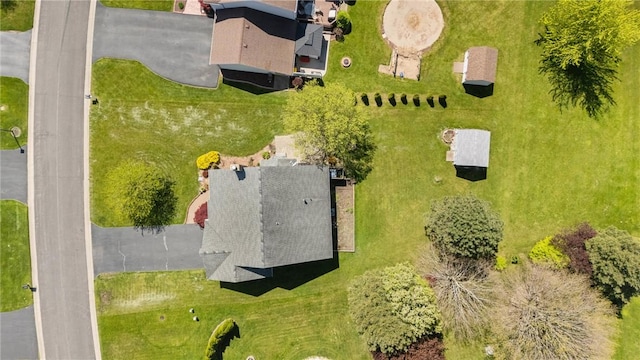 drone / aerial view