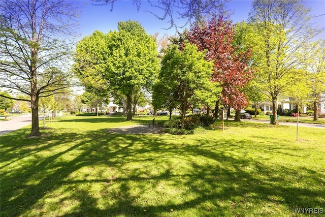 82 Radcliffe Rd, Buffalo, NY 14214 - surrounding community with a lawn