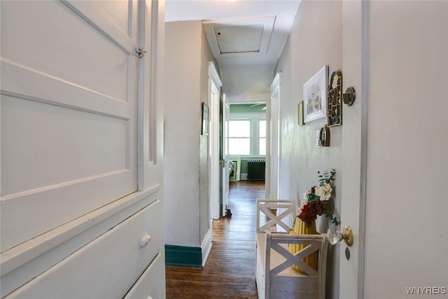 82 Radcliffe Rd, Buffalo, NY 14214 - hall featuring radiator, dark wood finished floors, and baseboards