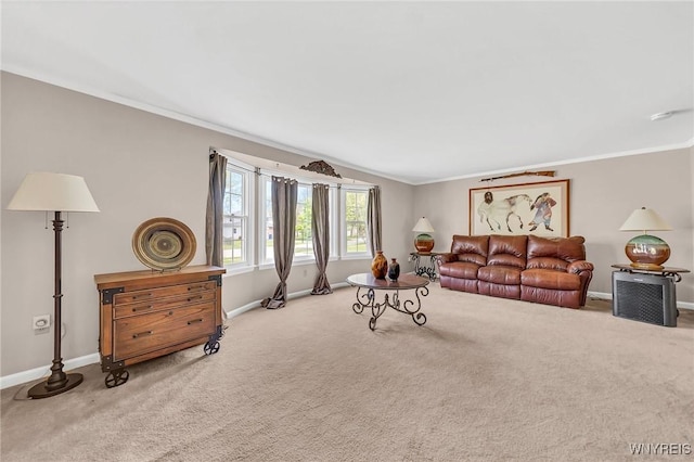 carpeted living area featuring baseboards and crown molding
